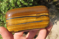 Polished Tiger's Eye Free Forms x 3 From Prieska, South Africa