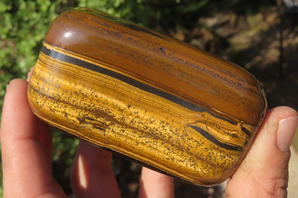 Polished Tiger's Eye Free Forms x 3 From Prieska, South Africa