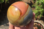 Polished Polychrome Jasper Spheres x 2 From Madagascar - Toprock Gemstones and Minerals 