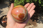 Polished Polychrome Jasper Spheres x 2 From Madagascar - Toprock Gemstones and Minerals 