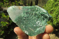 Natural Jade Cobbed Specimens x 13 From Swaziland - Toprock Gemstones and Minerals 