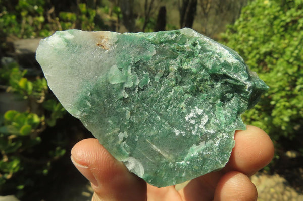 Natural Jade Cobbed Specimens x 13 From Swaziland