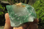 Natural Jade Cobbed Specimens x 13 From Swaziland - Toprock Gemstones and Minerals 