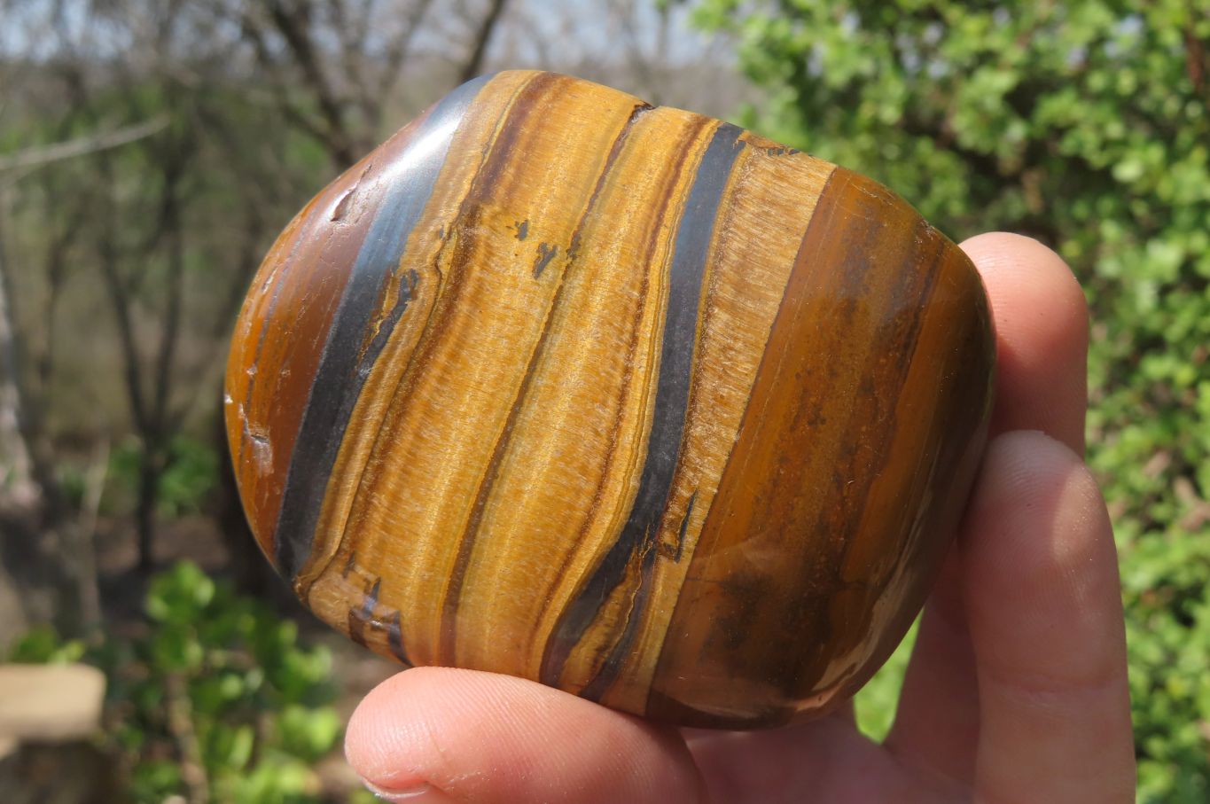 Polished Tiger's Eye Free Forms x 4 From Prieska, South Africa - Toprock Gemstones and Minerals 