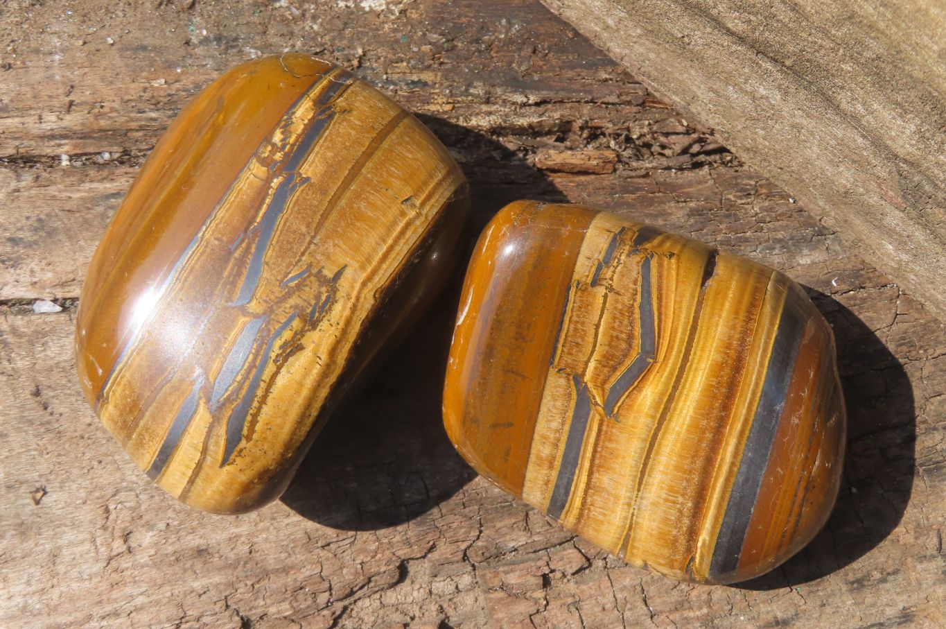 Polished Tiger's Eye Free Forms x 4 From Prieska, South Africa - Toprock Gemstones and Minerals 
