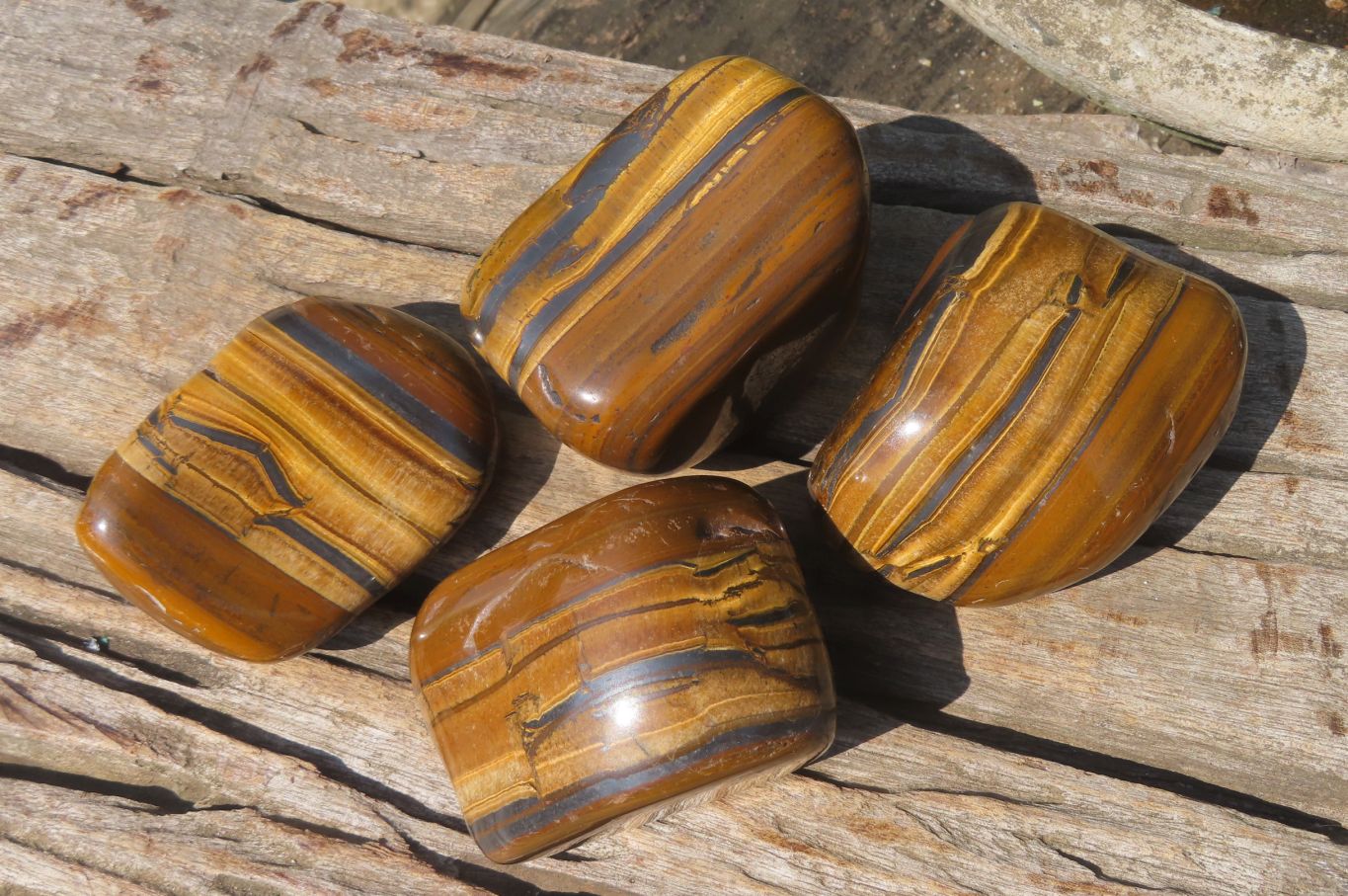 Polished Tiger's Eye Free Forms x 4 From Prieska, South Africa - Toprock Gemstones and Minerals 