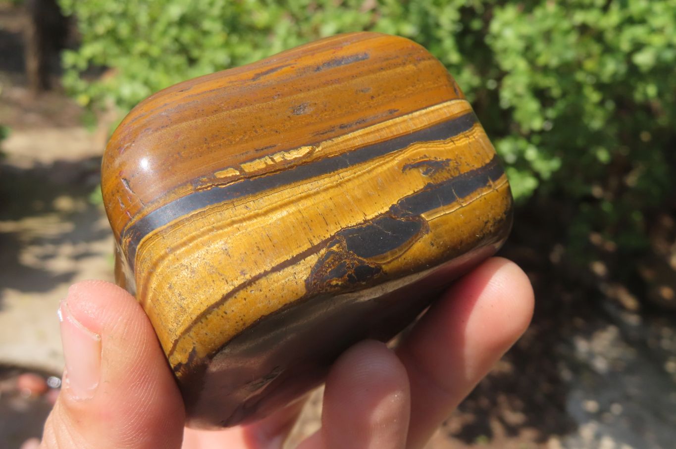 Polished Tiger's Eye Free Forms x 4 From Prieska, South Africa - Toprock Gemstones and Minerals 