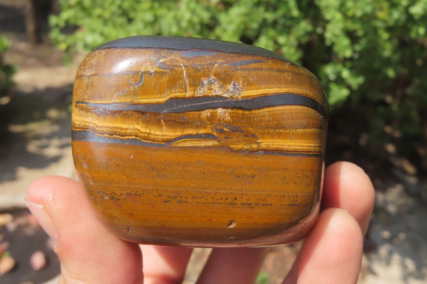 Polished Tiger's Eye Free Forms x 4 From Prieska, South Africa - Toprock Gemstones and Minerals 