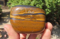 Polished Tiger's Eye Free Forms x 4 From Prieska, South Africa