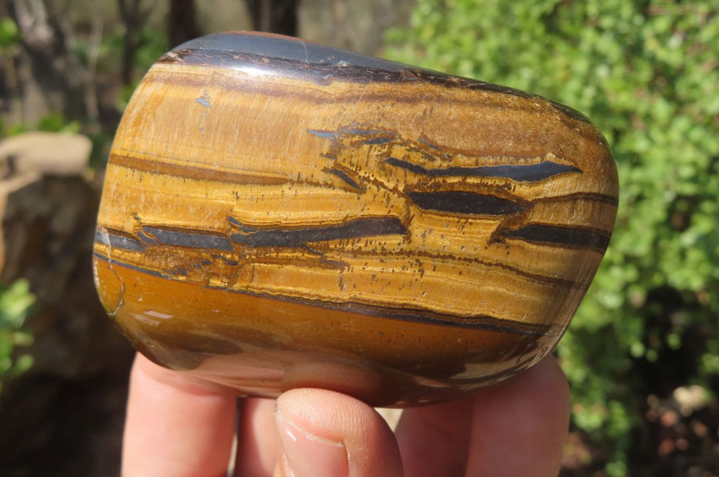 Polished Tiger's Eye Free Forms x 4 From Prieska, South Africa - Toprock Gemstones and Minerals 