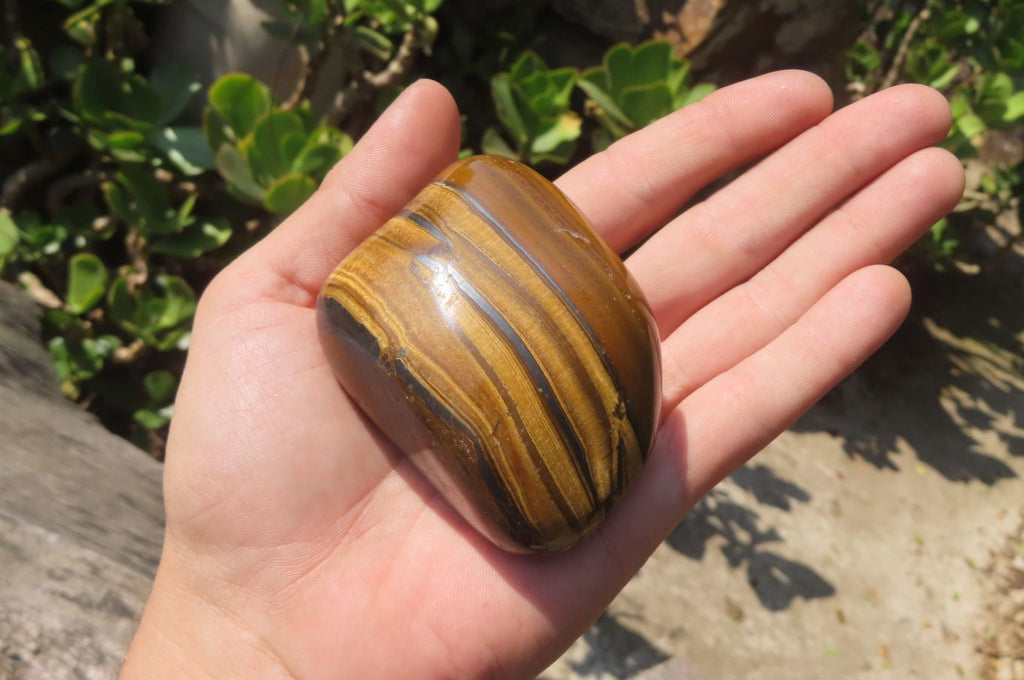 Polished Tiger's Eye Free Forms x 4 From Prieska, South Africa - Toprock Gemstones and Minerals 