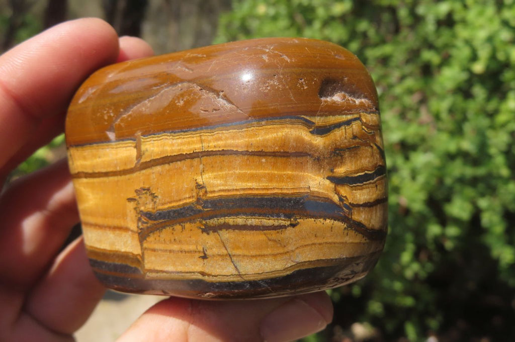 Polished Tiger's Eye Free Forms x 4 From Prieska, South Africa - Toprock Gemstones and Minerals 