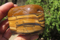 Polished Tiger's Eye Free Forms x 4 From Prieska, South Africa - Toprock Gemstones and Minerals 