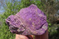 Natural Metallic Purpurite Cobbed Specimens x 12 From Erongo, Namibia - Toprock Gemstones and Minerals 