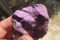 Natural Metallic Purpurite Cobbed Specimens x 12 From Erongo, Namibia - Toprock Gemstones and Minerals 