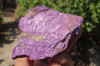 Natural Metallic Purpurite Cobbed Specimens x 12 From Erongo, Namibia - Toprock Gemstones and Minerals 