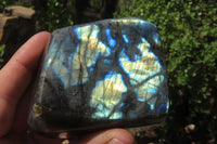 Polished Labradorite Standing Free Forms x 4 From Tulear, Madagascar - Toprock Gemstones and Minerals 