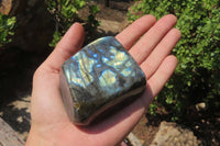 Polished Labradorite Standing Free Forms x 4 From Tulear, Madagascar - Toprock Gemstones and Minerals 