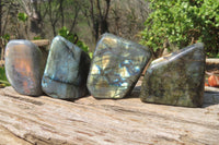Polished Labradorite Standing Free Forms x 4 From Tulear, Madagascar - Toprock Gemstones and Minerals 