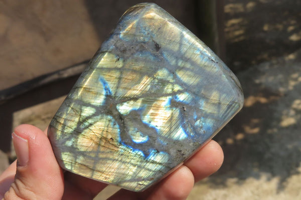 Polished Labradorite Standing Free Forms x 4 From Tulear, Madagascar - Toprock Gemstones and Minerals 