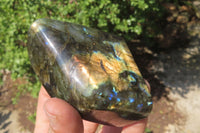 Polished Labradorite Standing Free Forms x 4 From Tulear, Madagascar - Toprock Gemstones and Minerals 