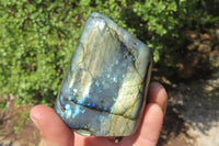 Polished Labradorite Standing Free Forms x 4 From Tulear, Madagascar - Toprock Gemstones and Minerals 