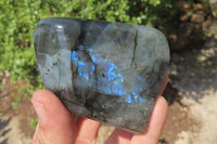Polished Labradorite Standing Free Forms x 4 From Tulear, Madagascar - Toprock Gemstones and Minerals 