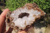 Natural Zululand Amethyst Geodes x 6 from Jozini, South Africa - Toprock Gemstones and Minerals 