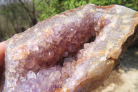 Natural Zululand Amethyst Geodes x 6 from Jozini, South Africa - Toprock Gemstones and Minerals 