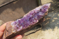 Natural Zululand Amethyst Geodes x 6 from Jozini, South Africa - Toprock Gemstones and Minerals 