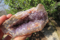 Natural Zululand Amethyst Geodes x 6 from Jozini, South Africa - Toprock Gemstones and Minerals 