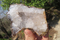 Natural Zululand Amethyst Geodes x 6 from Jozini, South Africa - Toprock Gemstones and Minerals 