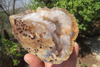 Natural Zululand Amethyst Geodes x 6 from Jozini, South Africa - Toprock Gemstones and Minerals 