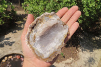 Natural Zululand Amethyst Geodes x 6 from Jozini, South Africa - Toprock Gemstones and Minerals 