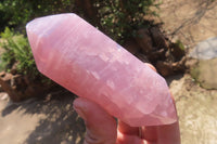 Polished Double Terminated Rose Quartz Points x 4 From Madagascar - Toprock Gemstones and Minerals 