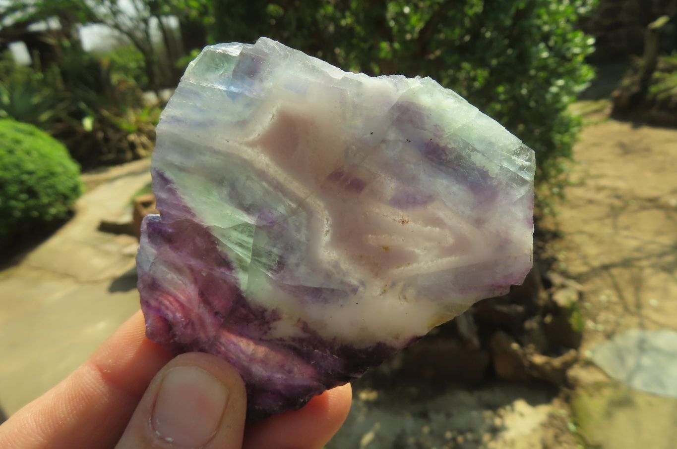 Polished Watermelon Fluorite Slices x 6 From Uis, Namibia - Toprock Gemstones and Minerals 