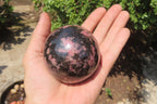 Polished Rhodonite Spheres x 3 From Madagascar - Toprock Gemstones and Minerals 