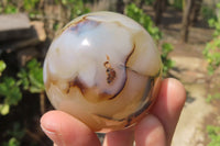 Polished Banded Agate Spheres x 6 From Madagascar - Toprock Gemstones and Minerals 