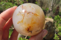 Polished Banded Agate Spheres x 6 From Madagascar - Toprock Gemstones and Minerals 