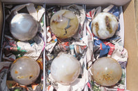 Polished Banded Agate Spheres x 6 From Madagascar - Toprock Gemstones and Minerals 