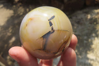 Polished Banded Agate Spheres x 6 From Madagascar - Toprock Gemstones and Minerals 