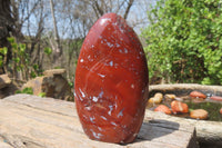 Polished Red Jasper Standing Free Forms x 6 From Madagascar - Toprock Gemstones and Minerals 