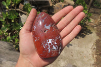 Polished Red Jasper Standing Free Forms x 6 From Madagascar - Toprock Gemstones and Minerals 