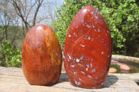 Polished Red Jasper Standing Free Forms x 6 From Madagascar - Toprock Gemstones and Minerals 