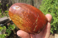 Polished Red Jasper Standing Free Forms x 6 From Madagascar - Toprock Gemstones and Minerals 