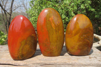 Polished Red Jasper Standing Free Forms x 6 From Madagascar - Toprock Gemstones and Minerals 