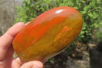 Polished Red Jasper Standing Free Forms x 6 From Madagascar - Toprock Gemstones and Minerals 