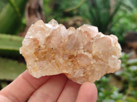 Natural Limonite Quartz Clusters x 29 From Solwezi, Zambia