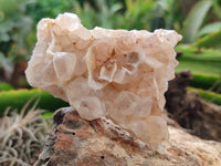 Natural Limonite Quartz Clusters x 29 From Solwezi, Zambia