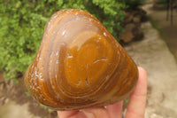 Polished Tiger's Eye Free Forms x 2 From Prieska, South Africa